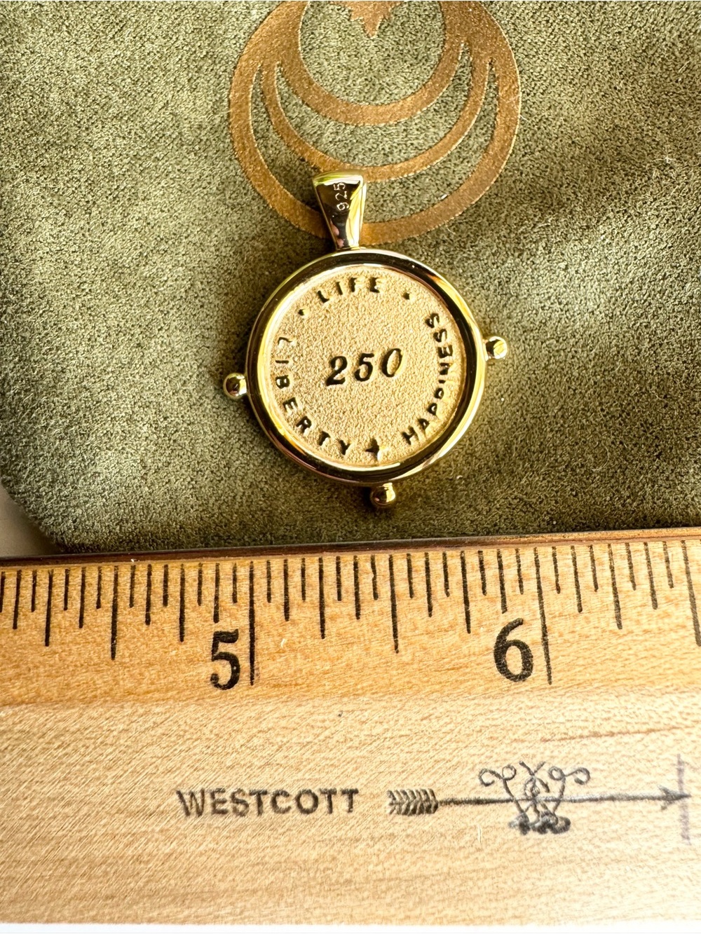 Jane Win Limited Edition 250th Protect Eagle Small Embellished Coin Pendant - Picture 9 of 11